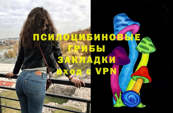 соль ск Богородицк