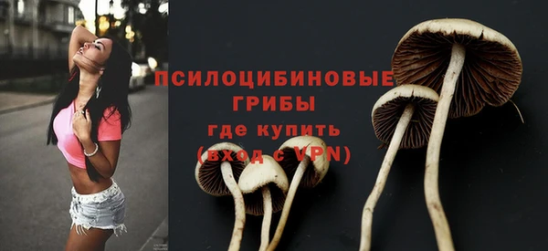 соль ск Богородицк
