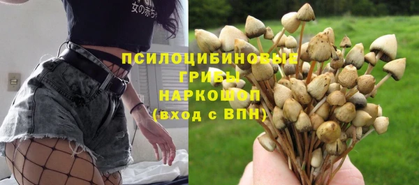 COCAINE Богданович