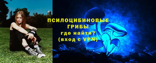 соль ск Богородицк
